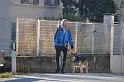 DSC_3765 (FILEminimizer)